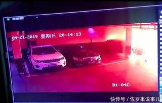 在上海怎么爆料视频,揭秘城市生活那些不为人知的瞬间